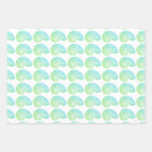 Papier d'enveloppement multicolore vert Nautilus (Devant)