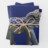 Papier d'enveloppement photo de carrousel animal é (En situation)