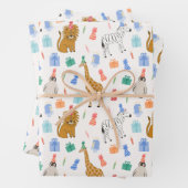 Papier d'enveloppement pour animaux de fête (En situation)