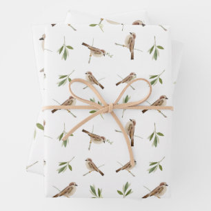 Papier d'enveloppement pour chaque occasion spécia