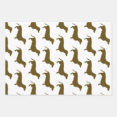 Papier d'enveloppement pour chien de saucisse de D (Devant)