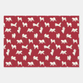 Papier d'enveloppement Samoyed Holiday Lights (Devant)