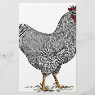 Papier Dessin de poulet de roche de Plymouth