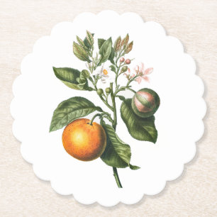 Papier Dessous-de-verre en papier: BITTER ORANGE BLOSSOM