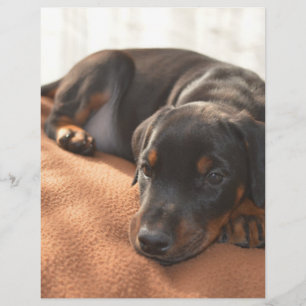 Papier doberman-pinscher-chiot