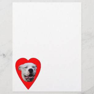 Papier Dogo Argentino souriant