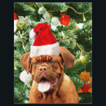 Papier Dogue de Bordeaux Christmas Tree Snowman boîte cad<br><div class="desc">Cute Dogue de Bordeaux Photo Chien avec boîte cadeau de Noël Snowman en arrière - plan. Un cadeau parfait pour Noël !</div>