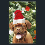 Papier Dogue de Bordeaux Christmas Tree Snowman boîte cad<br><div class="desc">Cute Dogue de Bordeaux Photo Chien avec boîte cadeau de Noël Snowman en arrière - plan. Un cadeau parfait pour Noël !</div>