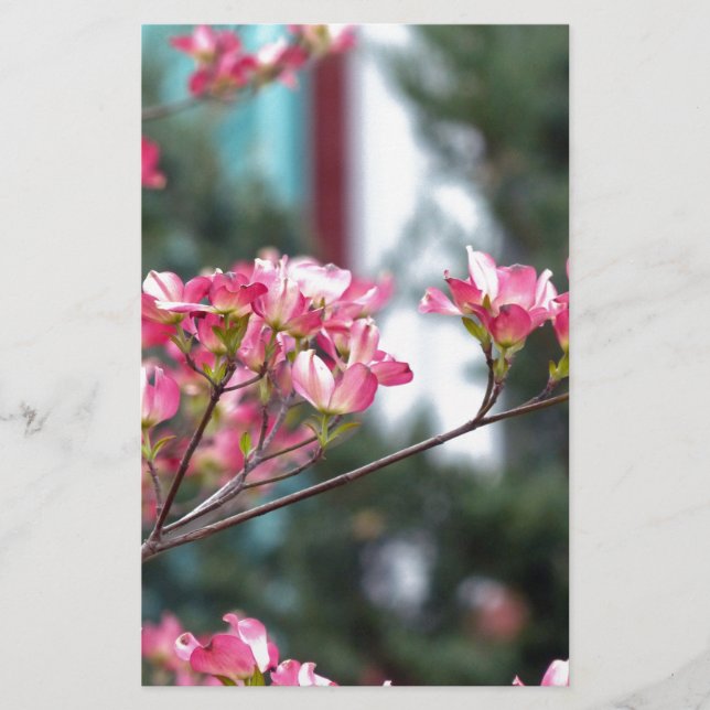 Papier Dogwood rose (Devant)