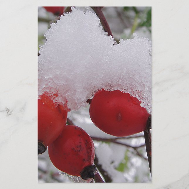 Papier Drei Hagebutten mit Schnee (Devant)