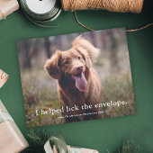 Papier Drôle Lick the Envelope Pet Christmas Card