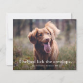 Papier Drôle Lick the Envelope Pet Christmas Card (Devant)