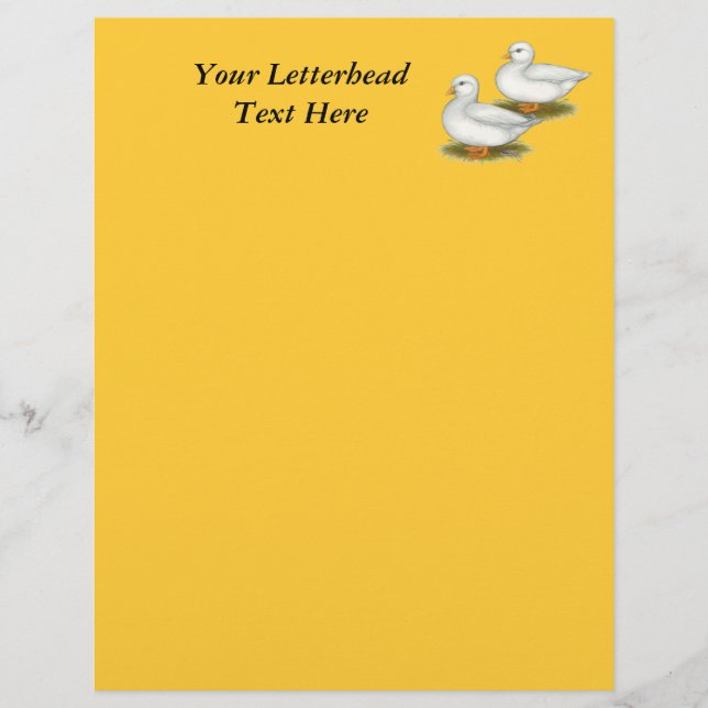 Papier Ducks : White Calls (Devant)