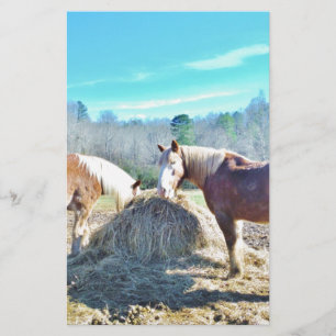 Papier Ébauche secourue Chevaux mangeant foin