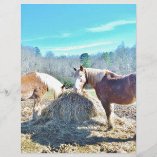 Papier Ébauche secourue Chevaux mangeant foin