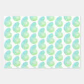 Papier écorché vert Nautilus (Devant)