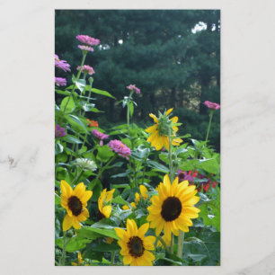 Papier Elégant jardin fleuri tournesol zinnia mums