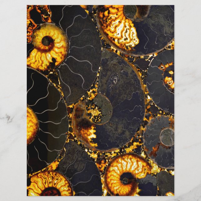 Papier Elégante coque dorée noire de Nautilus (Devant)