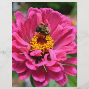 Papier Elégante fleur rose fleur maman fleur marguerite a