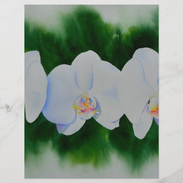 Papier Elégante peinture d'orchidée tropicale blanche (Devant)