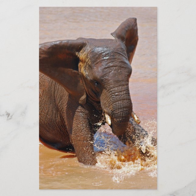 Papier Eléphant jouant avec l'eau (Devant)