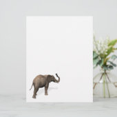 Papier Elephant Prendre Un Selfie (Debout devant)