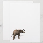 Papier Elephant Prendre Un Selfie (Devant / Derrière)