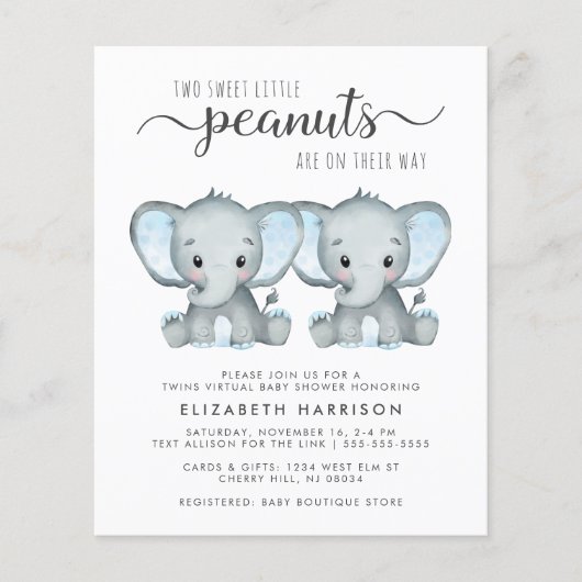 Papier Elephant Twin Boys Virtual Shower Budget Invitatio (Devant)