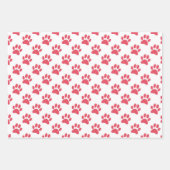 Papier Empreinte de patte (Devant 3)