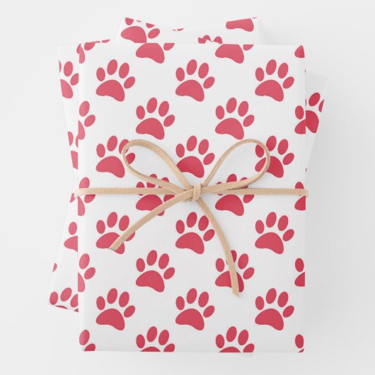 Papier Empreinte de patte (En situation)