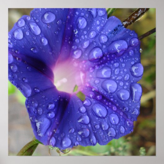 Papier en artikelen poster (Voorkant)