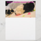 Papier En-tête (Devant)