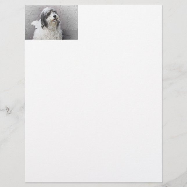 Papier En-tête (Devant)