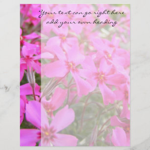 Papier En-tête de lettre Fleurs de Phlox Rose