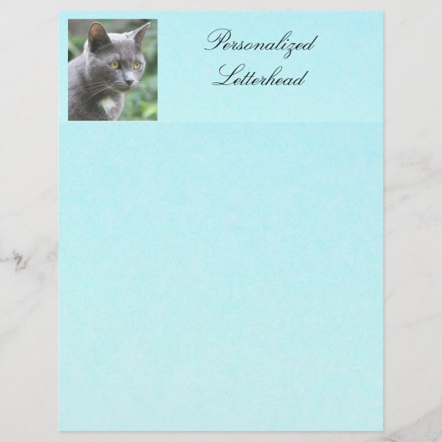 Papier En-tête de lettre Gray Kitty personnalisée (Devant)