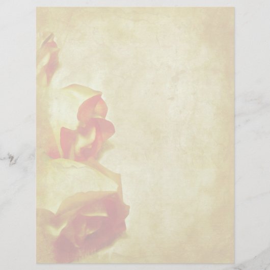 Papier En-tête des bordures roses (Devant)