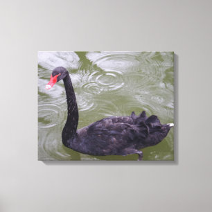 Papier en toile de cygne noir