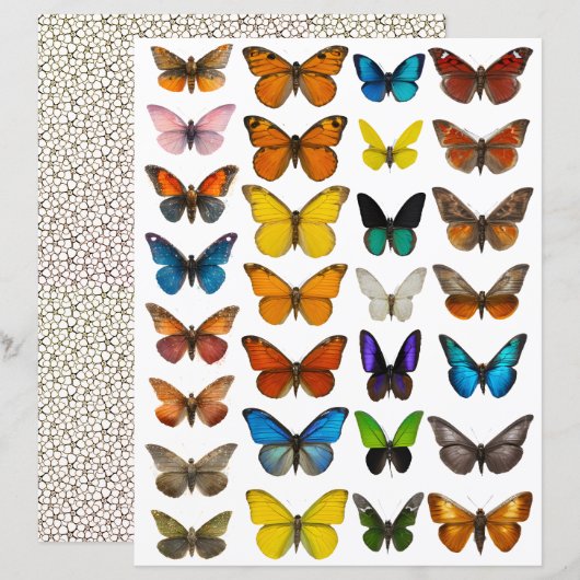 Papier ensemble Papillon Aquarelle pour découpe soignée (Devant / Derrière)
