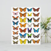 Papier ensemble Papillon Aquarelle pour découpe soignée (Debout devant)