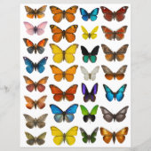 Papier ensemble Papillon Aquarelle pour découpe soignée (Devant)