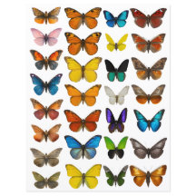 ensemble Papillon Aquarelle pour découpe soignée