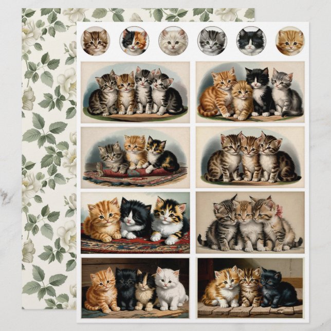 Papier Épheméras de chatons de style vintage coupes minut (Devant / Derrière)