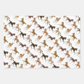 Papier équestre pour les chevaux (Devant 2)