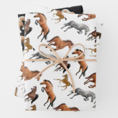 Papier équestre pour les chevaux (En situation)