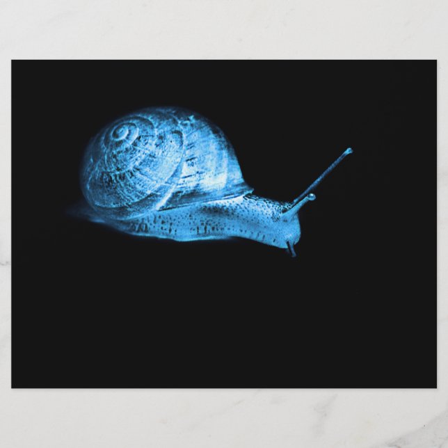 Papier Escargot néon (Devant)
