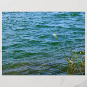Papier Etang de roseau à fleurs blanches