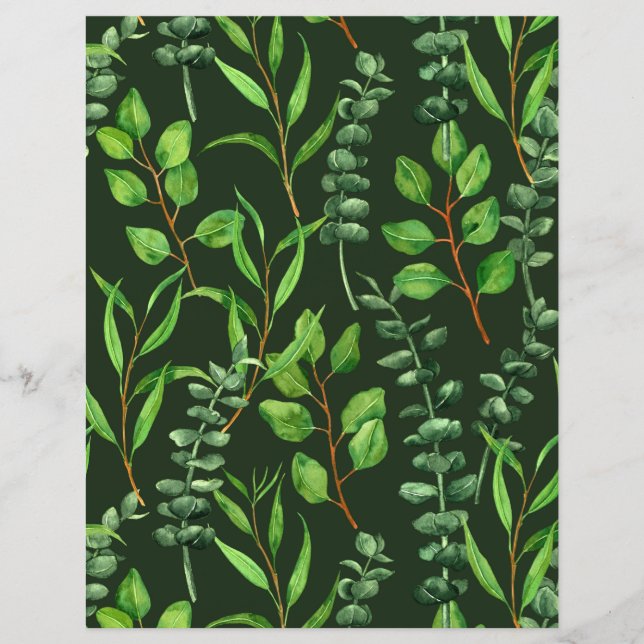 Papier Eucalyptus sur fond vert foncé (Devant)