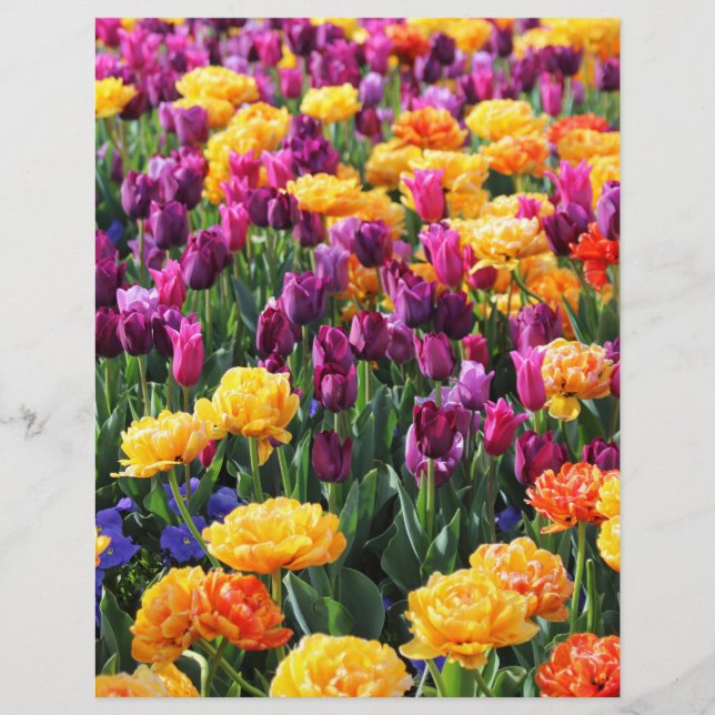 Papier Falln Sunset Floral River (Devant)