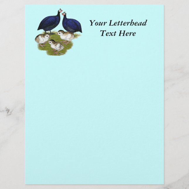 Papier Famille Cobaye Pourpre (Devant)