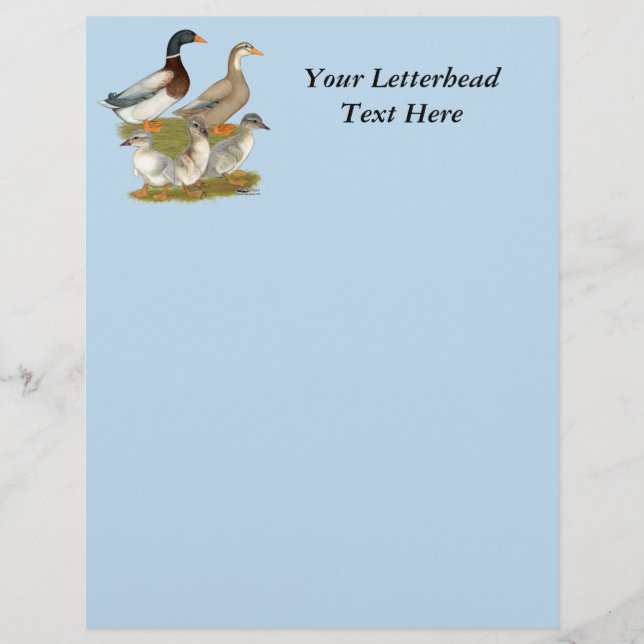 Papier Famille de canards de Saxe (Devant)